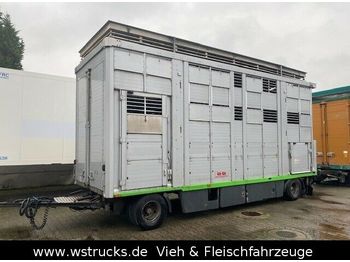 KABA 3 Stock  Hubdach Vollalu 7,30m  - Veetransport påhængsvogn