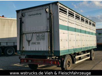 Westrick Viehanhänger 1Stock, trommelbremse  - Veetransport påhængsvogn