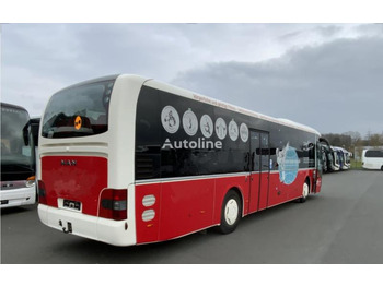 Forstæder bus MAN R 12 Lion`s Regio: billede 4