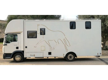 Veetransport lastbil MAN 8.180 4X2 - CAPACITY FOR 3 HORSES + HAUSE: billede 1