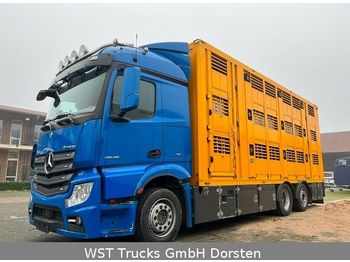 Veetransport lastbil Mercedes-Benz Actros 2545  6x2 Menke 3 Stock Vollalu: billede 1