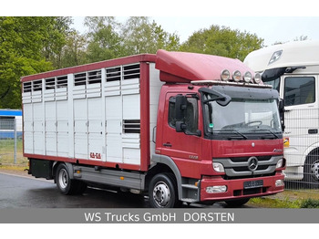 Mercedes-Benz Atego 1329  4x2  KA-BA Viehtransporter Großvieh  - Veetransport lastbil: billede 1