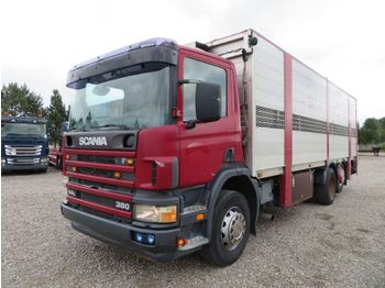 Veetransport lastbil Scania P114-380 6x2*4 Livestock: billede 1