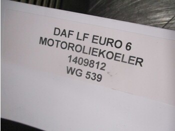 Oliekøler for Lastbil DAF LF 1409812 MOTOROLIEKOELER EURO 6: billede 2
