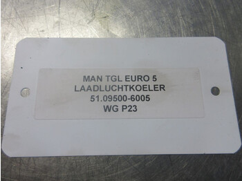 Motor og reservedele for Lastbil MAN 51.09500-6005 // 12.250 EURO 5 EEV OLIEKOELEN: billede 5