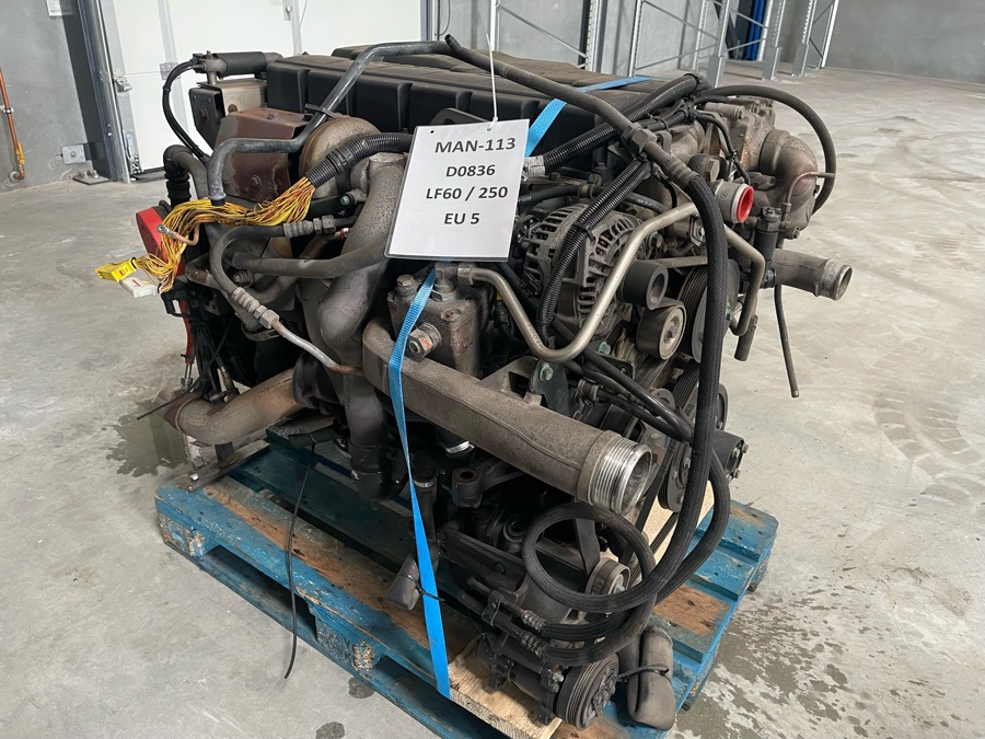 Motor for Lastbil MAN D0836 LF60 / 250 HP: billede 3