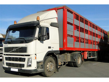 Varevogn sættevogn til transportering dyre General Trailer Kompletzug SZM + Auflieger für Schweinetransport: billede 1