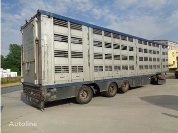 Veetransport sættevogn Menke-Janzen Élőállat szállító félpótkocsi: billede 1