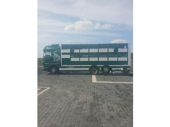 Veetransport sættevogn SCANIA R500: billede 1