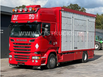 Scania R520 V8 4x2 Blatt/Luft KA-BA 3-Stock m. Hubdach  - Veetransport lastbil: billede 1