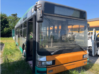 Bybus IRISBUS