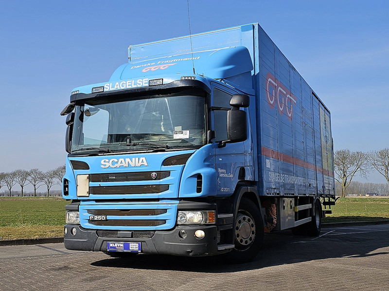 Scania P250 - Lastbil varevogn: billede 1 Scania P250 - Lastbil varevogn: billede 1