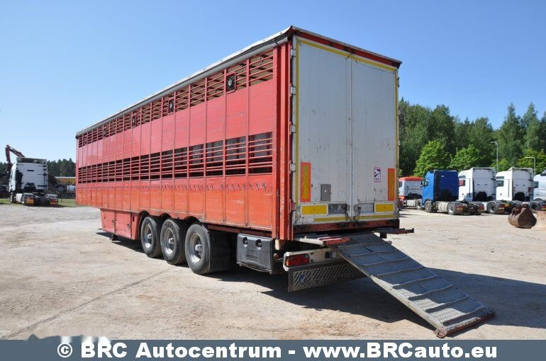 Pezzaioli SCT63U - Veetransport sættevogn: billede 4 Pezzaioli SCT63U - Veetransport sættevogn: billede 4