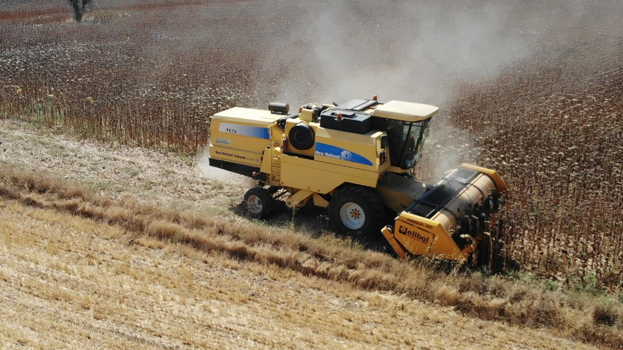 ELİBOL FREESUN 480 ROW INDEPENDENT SUNFLOWER HEADER - Skærebord til solsikker: billede 5 ELİBOL FREESUN 480 ROW INDEPENDENT SUNFLOWER HEADER - Skærebord til solsikker: billede 5
