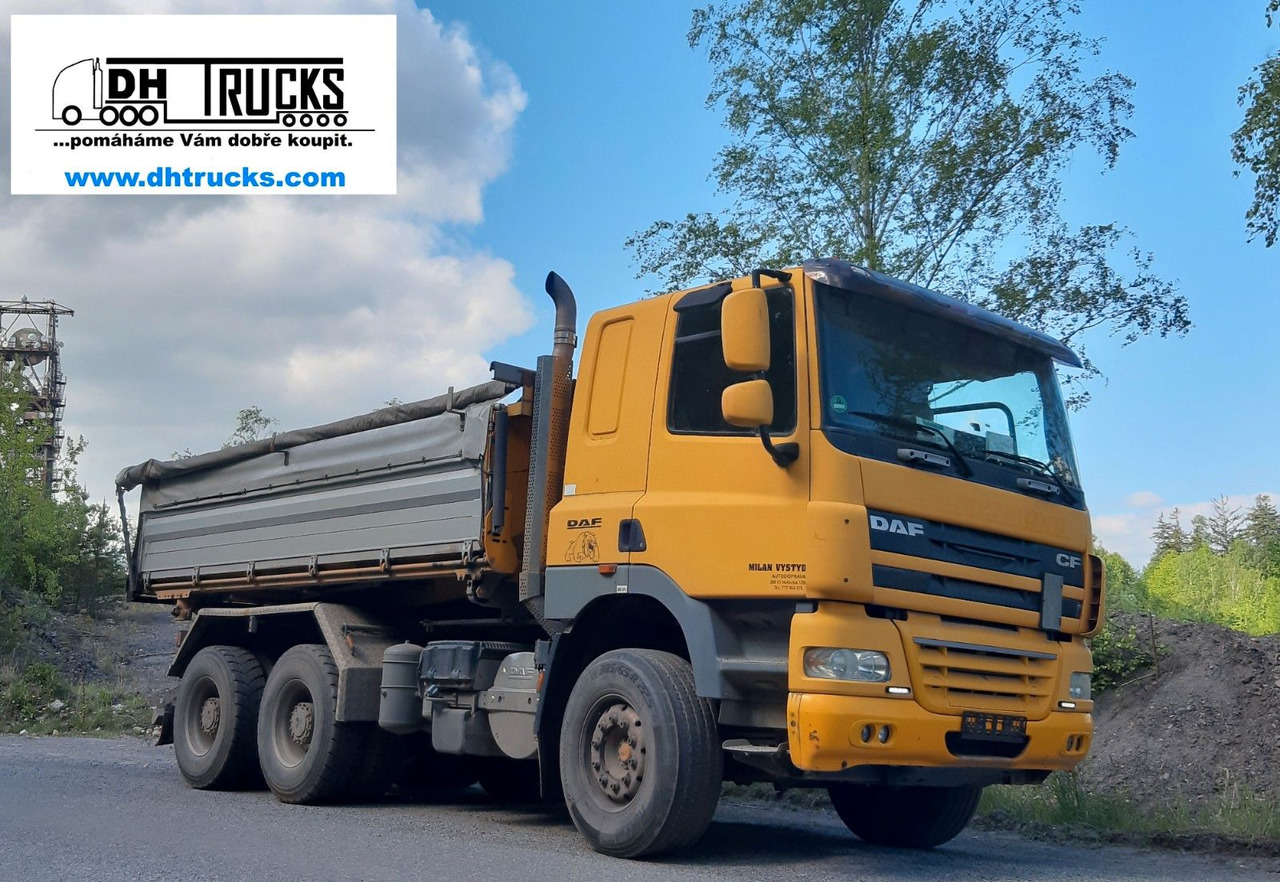 Tipvogn lastbil DAF 460 6x4 /INTARDER/ SCHWARZMÜLLER/ NL 13.900 kg: billede 10