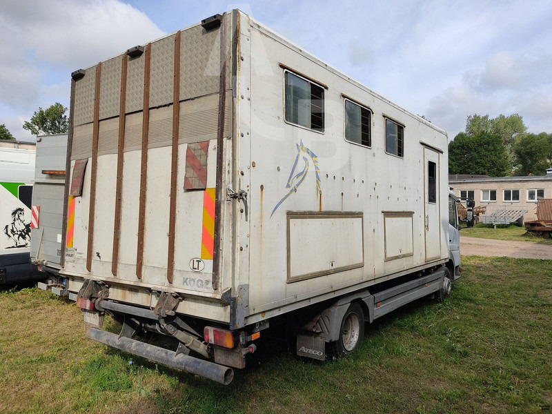 Mercedes-Benz 815 - Hestetransporter: billede 4 Mercedes-Benz 815 - Hestetransporter: billede 4