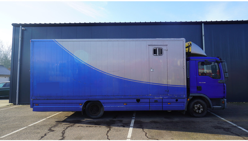 MAN TGL 8.180 HORSE TRANPORT 515.000KM - Hestetransporter: billede 2 MAN TGL 8.180 HORSE TRANPORT 515.000KM - Hestetransporter: billede 2