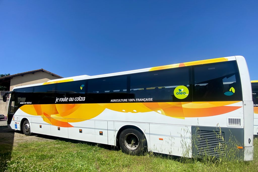 TEMSA SAFARI RD - Turistbus: billede 4 TEMSA SAFARI RD - Turistbus: billede 4