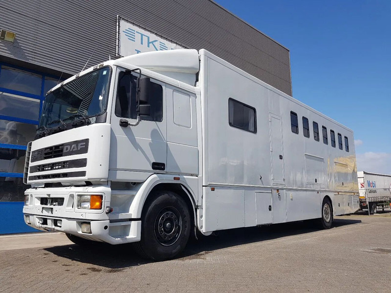 DAF 95.350 Paardenwagen met zitverblijf 7 paarden 7 horses - Hestetransporter: billede 1 DAF 95.350 Paardenwagen met zitverblijf 7 paarden 7 horses - Hestetransporter: billede 1