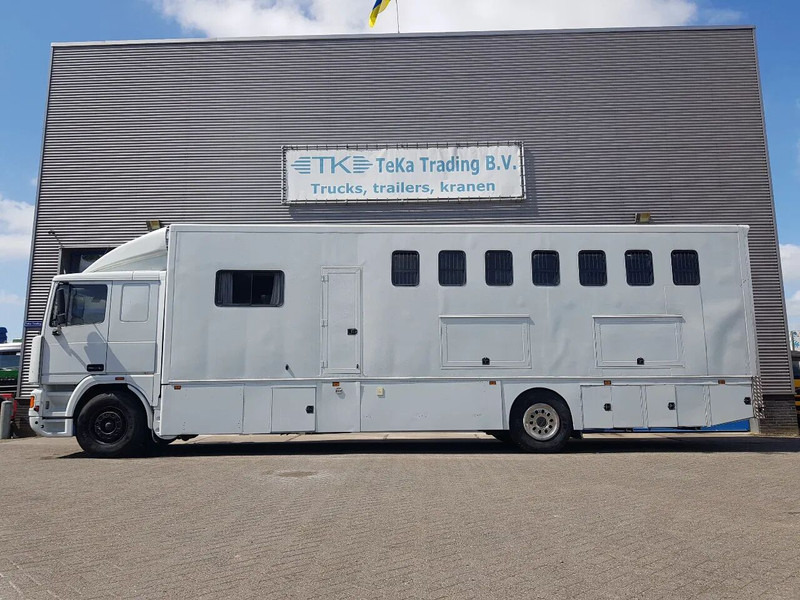 DAF 95.350 Paardenwagen met zitverblijf 7 paarden 7 horses - Hestetransporter: billede 3 DAF 95.350 Paardenwagen met zitverblijf 7 paarden 7 horses - Hestetransporter: billede 3