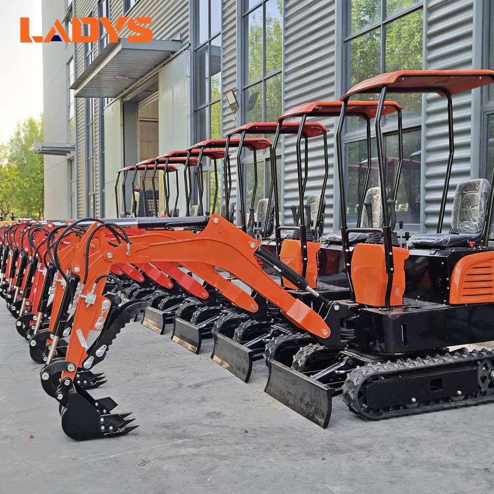 LADYS Mini Excavator CE Certification Kubota Engine(Factory Outlet) Mini Pelle Minibagger Minikoparka Miniexcavadora - Minigravemaskine: billede 1 LADYS Mini Excavator CE Certification Kubota Engine(Factory Outlet) Mini Pelle Minibagger Minikoparka Miniexcavadora - Minigravemaskine: billede 1