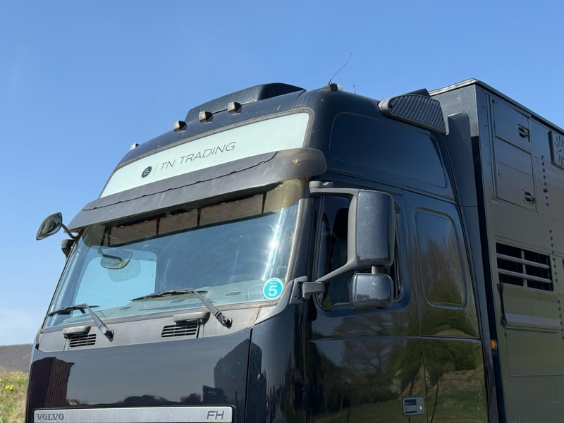 Volvo FH 13.540 STEERING, RETARDER, DOUBLE FLOOR, LIVE STOCK. - Veetransport lastbil: billede 5 Volvo FH 13.540 STEERING, RETARDER, DOUBLE FLOOR, LIVE STOCK. - Veetransport lastbil: billede 5