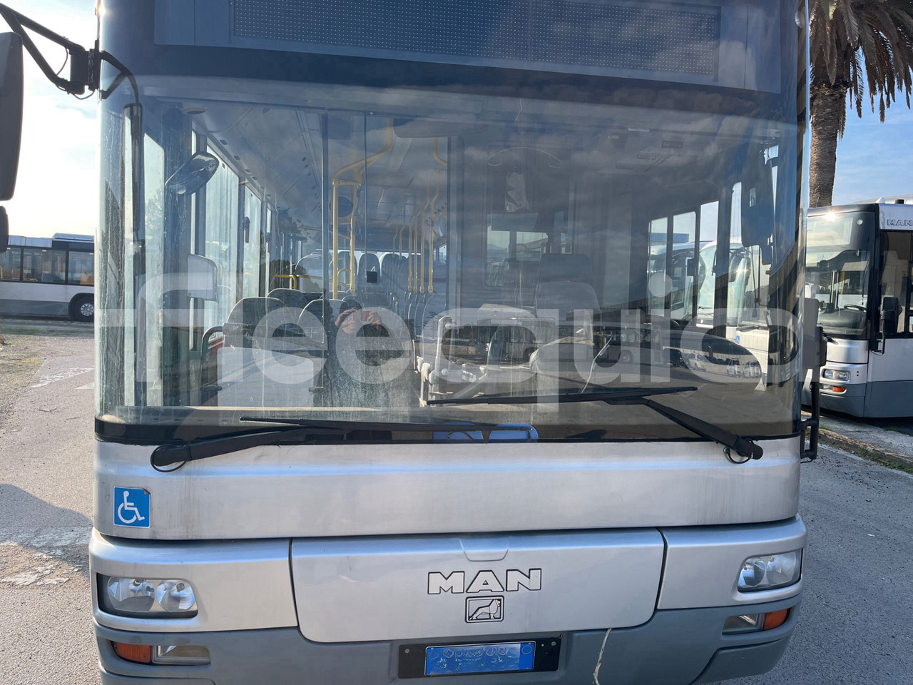 Man Lion's Classic - Bybus: billede 2 Man Lion's Classic - Bybus: billede 2
