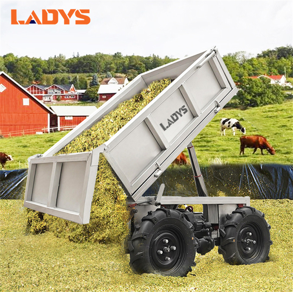 LADYS Electric Remote Control Transporter Agricultural Orchard Farm Electric Utv Material Handling Equipment All Terrain Transport Vehicle - ATV/ Quad: billede 3 LADYS Electric Remote Control Transporter Agricultural Orchard Farm Electric Utv Material Handling Equipment All Terrain Transport Vehicle - ATV/ Quad: billede 3