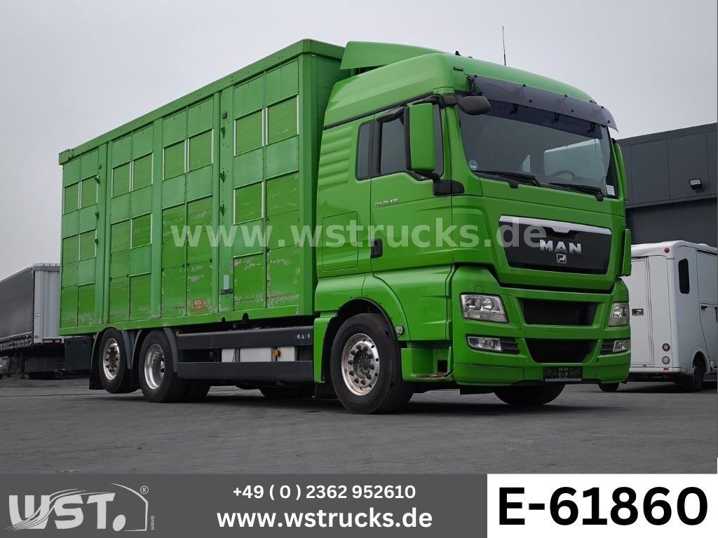 MAN TGX 26.480 XL KABA 3 Stock Vollalu - Hestetransporter: billede 1 MAN TGX 26.480 XL KABA 3 Stock Vollalu - Hestetransporter: billede 1