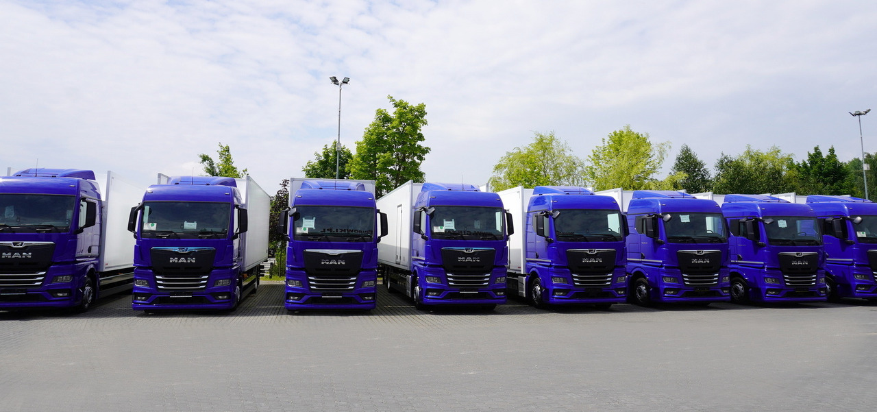 MAN New MAN TGX 26.400 / NEW IGLOOCAR refrigerator 23 pallets / 6×2 / 2024 / 10 units - Kølevogn lastbil: billede 3 MAN New MAN TGX 26.400 / NEW IGLOOCAR refrigerator 23 pallets / 6×2 / 2024 / 10 units - Kølevogn lastbil: billede 3