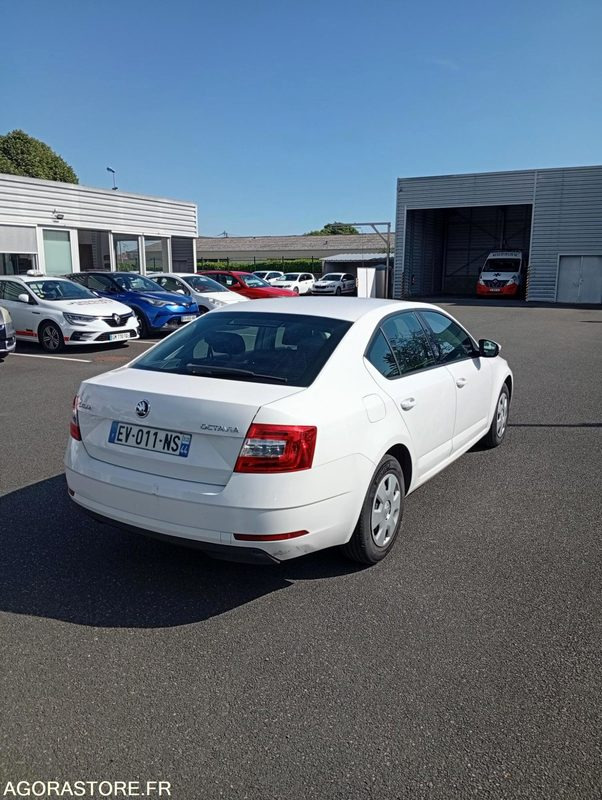 EV-011-NS - Roulant - SKODA OCTAVIA - VP - 389 000 Kms - Bil: billede 3 EV-011-NS - Roulant - SKODA OCTAVIA - VP - 389 000 Kms - Bil: billede 3