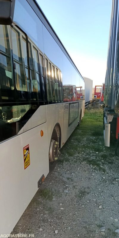 IVECO BUS CROSSWAY LOW ENTRY N°113217 - Minibus, Persontransport: billede 2 IVECO BUS CROSSWAY LOW ENTRY N°113217 - Minibus, Persontransport: billede 2