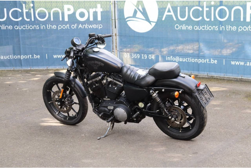 Harley-Davidson Sportster XL 883 Iron - Motorcykel: billede 3 Harley-Davidson Sportster XL 883 Iron - Motorcykel: billede 3